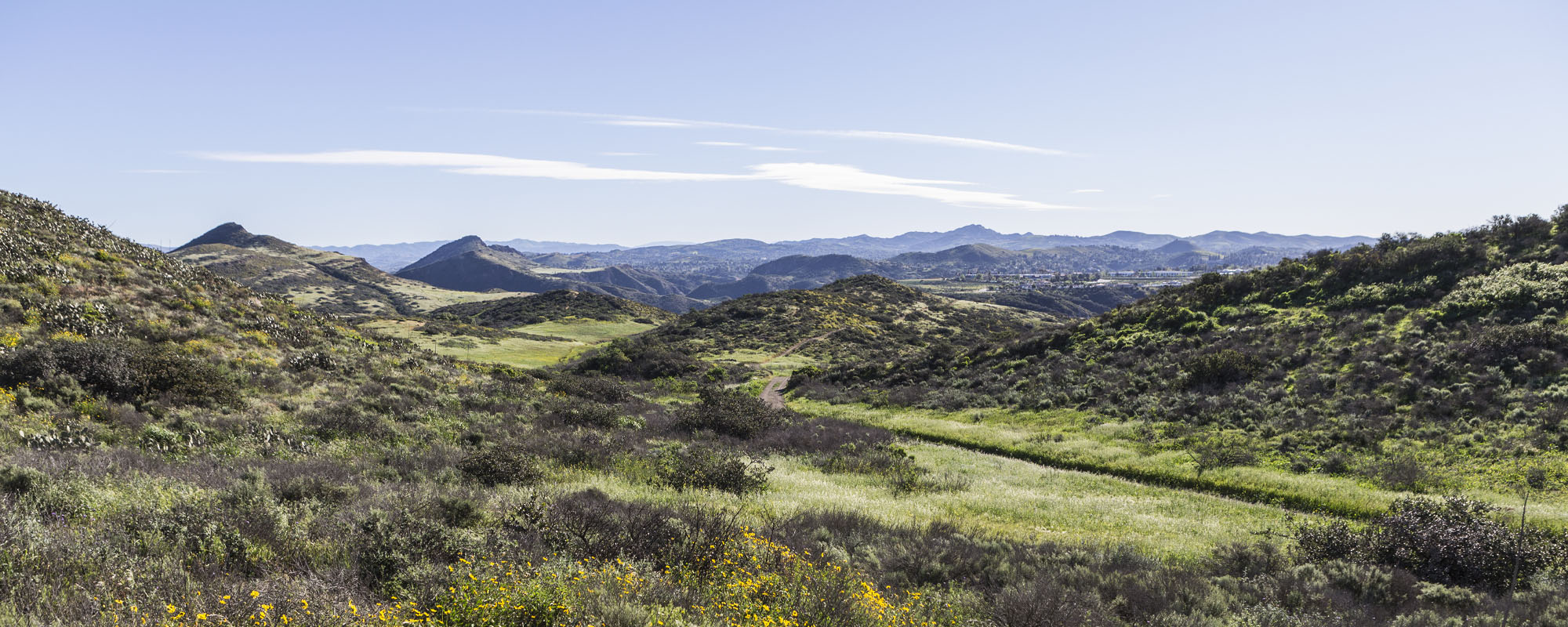 Newbury Park Elder Abuse Attorney Cowdrey Jenkins, LLP